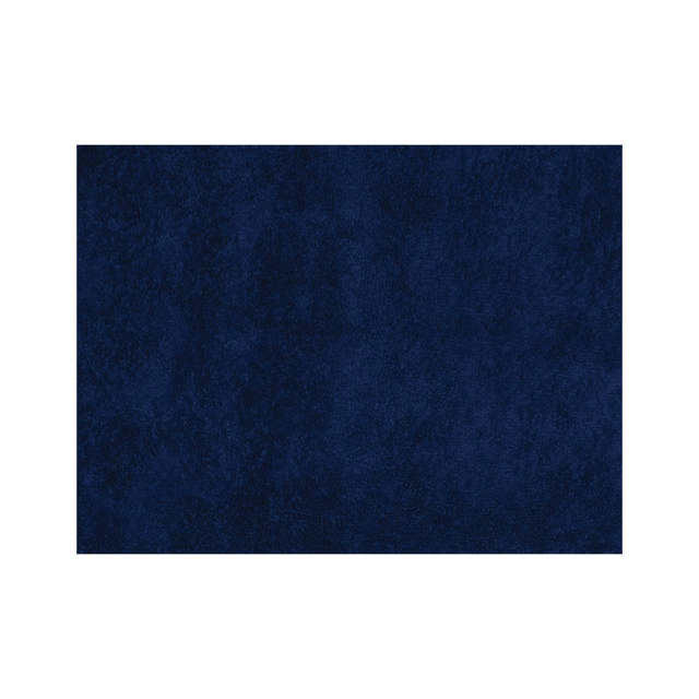 TWL 00 - Microvezeldoek Groot 